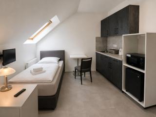 Apartments Gato Karlovy Vary Jenišov - 4