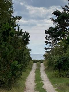 The Beach Is 60 Meters From The Cottage - 9