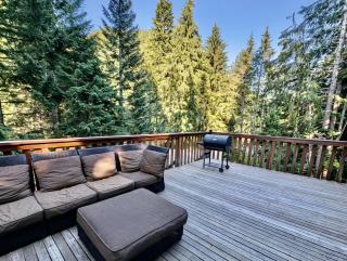 Chalet at Rainier Lodge (0.4 miles from the entrance) - 4