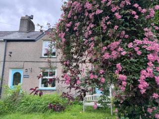 Snowdonia Eryri Cottage, Moel Siabod - 9
