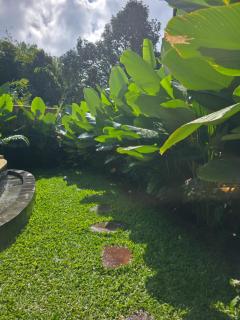 Sunrise Hill Bamboo House-Private Jungle Villa - 3