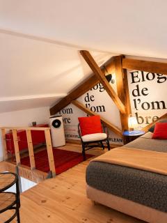 très bel appartement en duplex de 45 m2 - 3