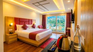 The Gold Leaf Manali - 9