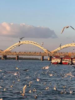 Holiday Inn Express Harbin Central Avenue by IHG - 8