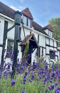 Luxury 16th Century 4-Beds Tudor Cottage - 4