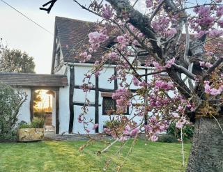 Luxury 16th Century 4-Beds Tudor Cottage - 2