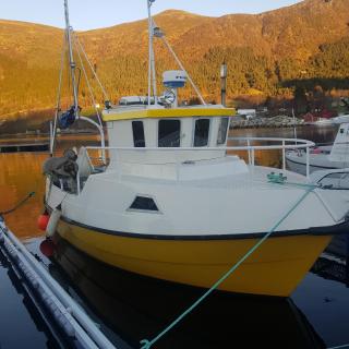 Fjord & Fjell Idyll - 5