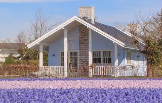 Beautiful Home In Noordwijk With Wifi - 2