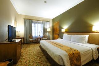 Loman Park Hotel Yogyakarta - 9