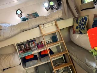 Solar Powered Hideaway converted horse box refurbished May 2026 - 6