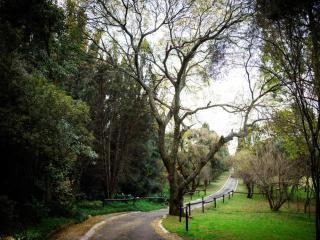 Pinewood Cottages - 9