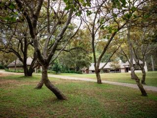 Pinewood Cottages - 0