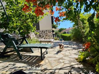 Casa Os Maias - Jardim, terraço e espaço para 10 pessoas - 2