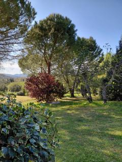 Borgo de' Muracci - 7