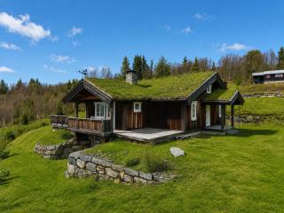 Cosy mountain cabin in Golsfjellet - 0