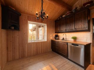 Cosy mountain cabin in Golsfjellet - 2