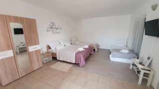Apartments Primorska - 1