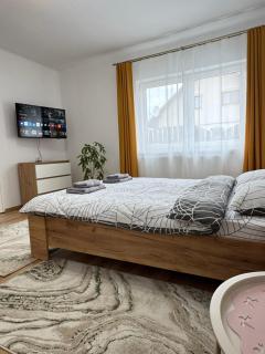 Casa Crisan - 1