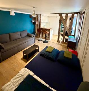 Appartement Vieux Mans - 7