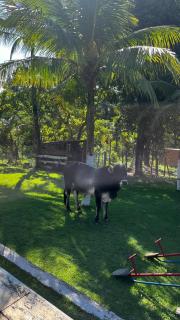 Sítio em Itaboraí - Recanto dos Caldas - 4