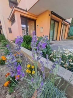 Residenza Borgo - 4