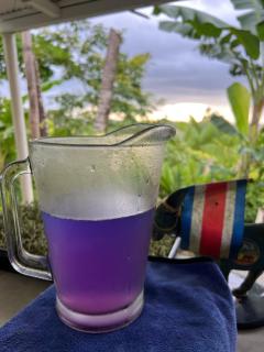 Casa Aloe - 6