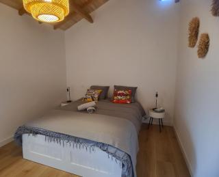 Aubié modern barn swimming pool and AC - 3