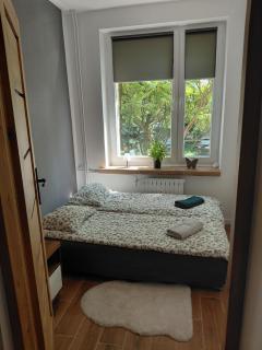 Apartament Piotrkowska - 5
