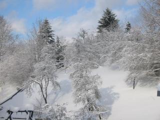 Gasthaus Wollmeiner - Schmallenberg - 8