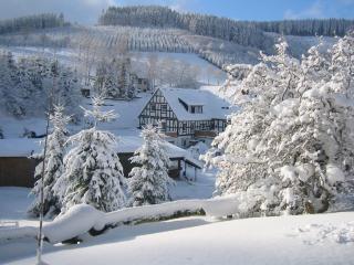 Gasthaus Wollmeiner - Schmallenberg - 3