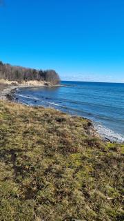 Tæt på skov og strand - lige ved Hesnæs - 4