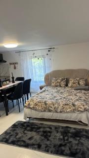 Gemini house - 7