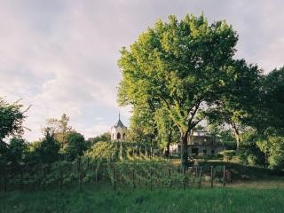 Holiday apartment in Werder - 1