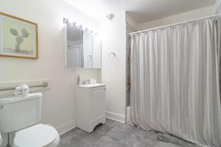 Luxury Studio Apartment with Optional Parking and Gym Access Near McCormick Place, Chinatown and Soldier Field - 4