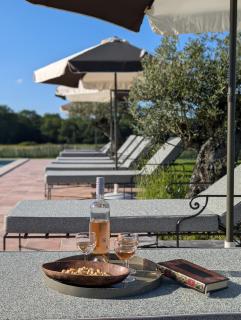 La Bergerie & Le Poulailler - Pool, Padel & Spa - Gite de Charme en Sologne - 8
