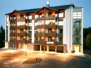Tahkovuori Chalets B 301 - 0