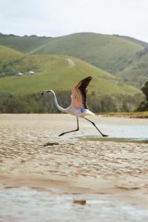 Deja Blue Beach Camp - 9