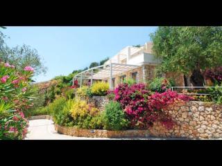 Corfu Dream Holidays Villa Chrysa - 3
