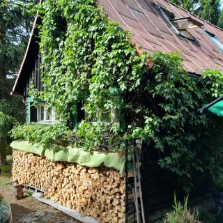 Górska Perła Pokoje Gościnne - 1