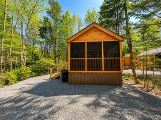 Cozy Coastal Cabin 1 - Steuben - 2