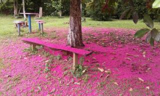 Pouso Jambo Rosa - Valença - 6