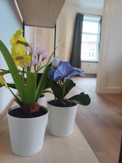2 bedroom apartment with Free private parking - 2
