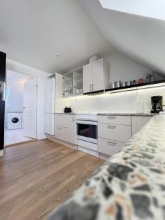 Central Luxus Apartment Free Private Parking - 2