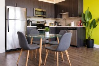 Spacious 2BR South Loop with Skyline view, Optional Parking and Gym Access Near McCormick Place and Soldier Field - 9