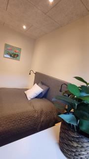 Unique and luxurious apartment in Aalborg City - 3