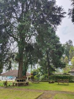 Bliss Farm - 6