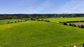 Shepherd's Crook - 7
