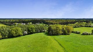 Shepherd's Crook - 4