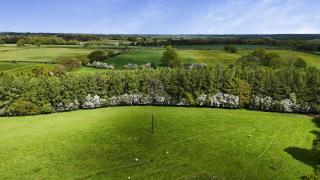 Shepherd's Crook - 2
