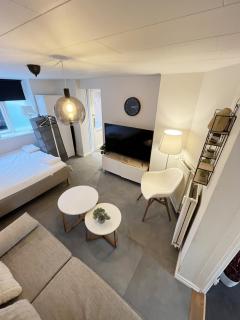 Elegant Apartment in Central Aalborg - 7